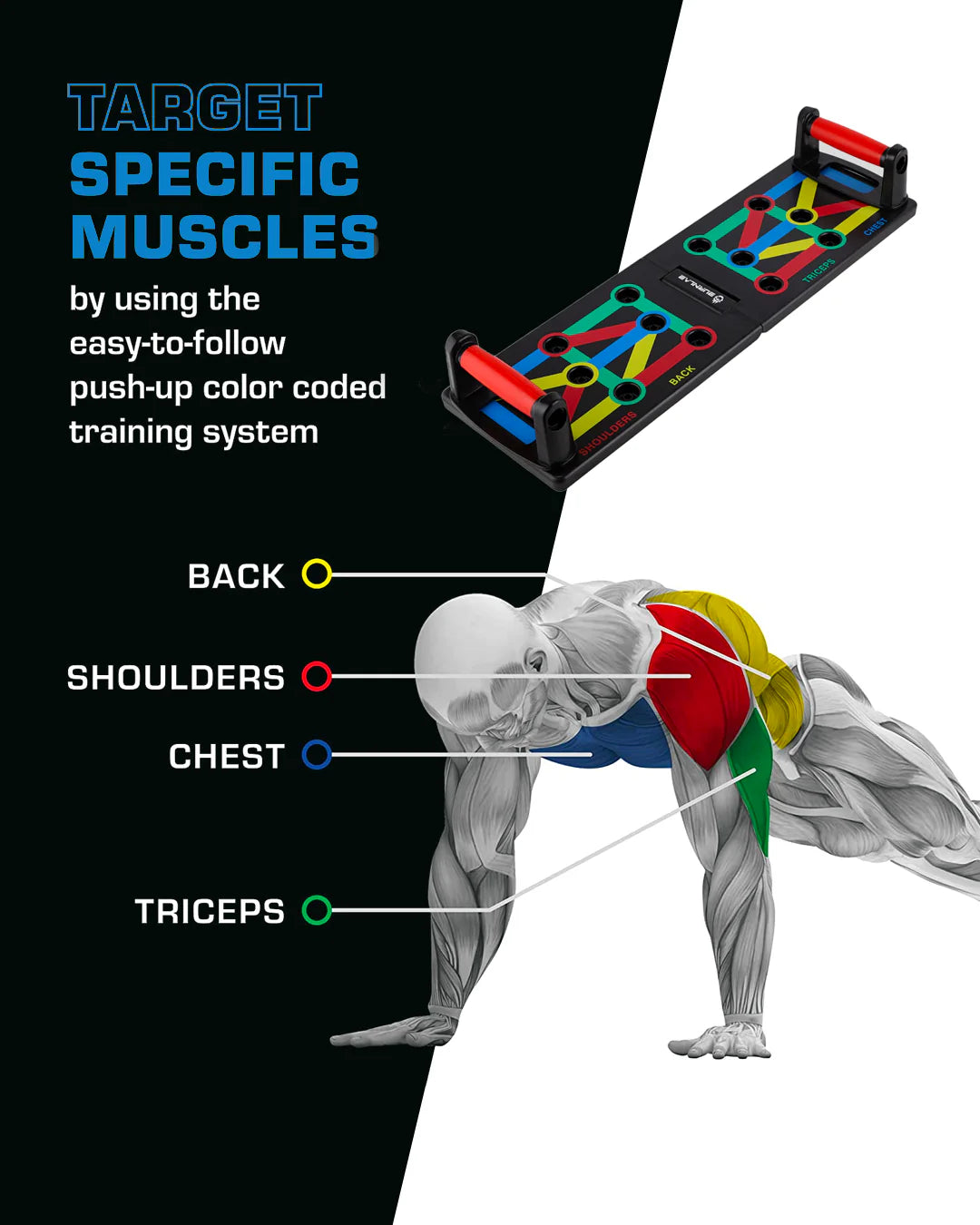 Push-up Board